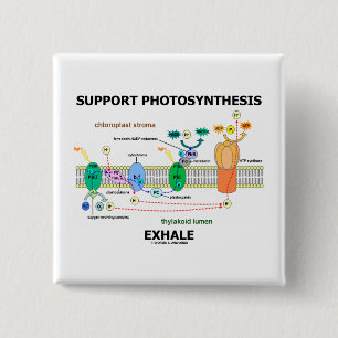 Stützphotosynthese atmen aus (Biochemie-Spaß) Button
