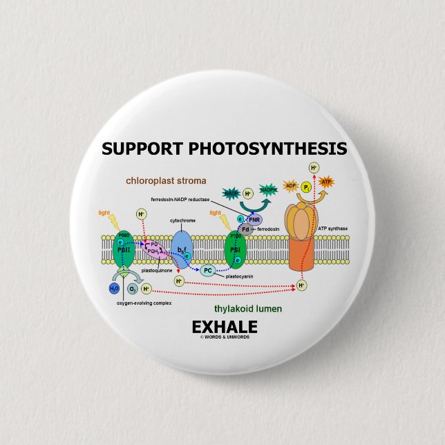 Stützphotosynthese atmen aus (umweltsmäßig) button (Vorderseite)