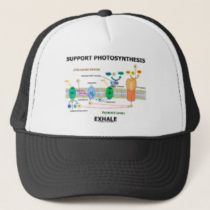 Stützphotosynthese atmen aus (umweltsmäßig) truckerkappe