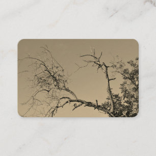 STYLE ART&DESIGN carte de visite