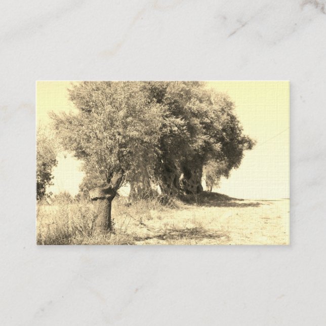 STYLE ART&DESIGN carte de visite (Devant)