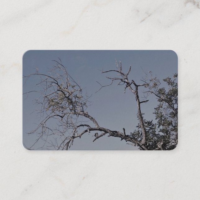 STYLE ART&DESIGN carte de visite (Devant)