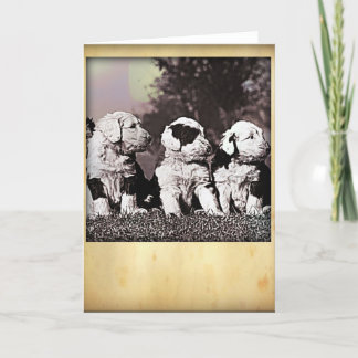 Style Carte de voeux Chiffres anglais