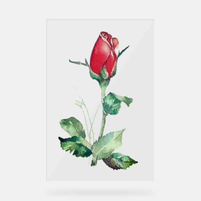 STYLE DE CONCEPTION BUD ROSE DE SIGNE ACRYLIQUE (Recto)