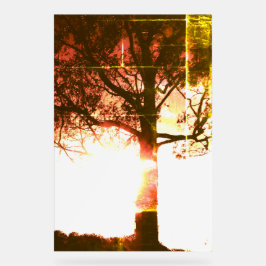 STYLE DE CONCEPTION ECO COOL ACRYLIQUE