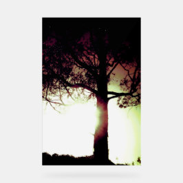 STYLE DE CONCEPTION ECO COOL ACRYLIQUE