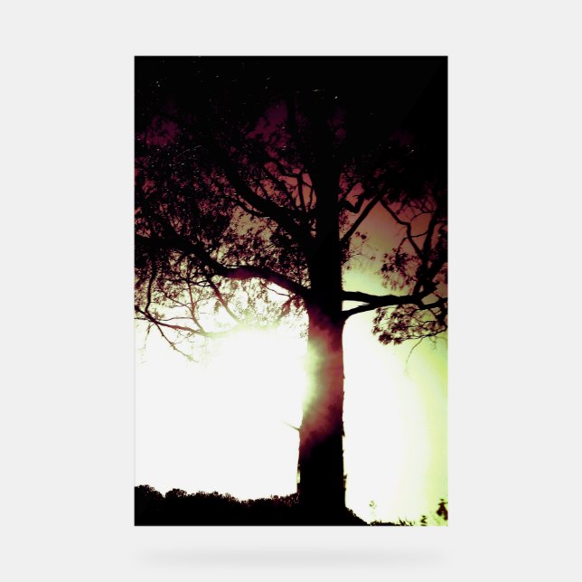 STYLE DE CONCEPTION ECO COOL ACRYLIQUE (Recto)