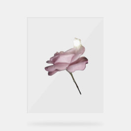 STYLE DE CONCEPTION ROSE DE SIGNE ACRYLIQUE