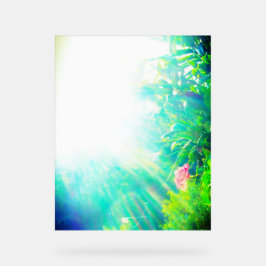 STYLE DE CONCEPTION ROSE DE SIGNE ACRYLIQUE