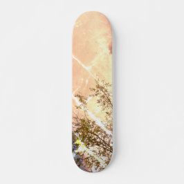 STYLE ET DESIGN SKATEBOARD