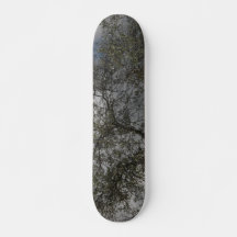 STYLE ET DESIGN SKATEBOARD