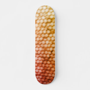 STYLE ET DESIGN SKATEBOARD