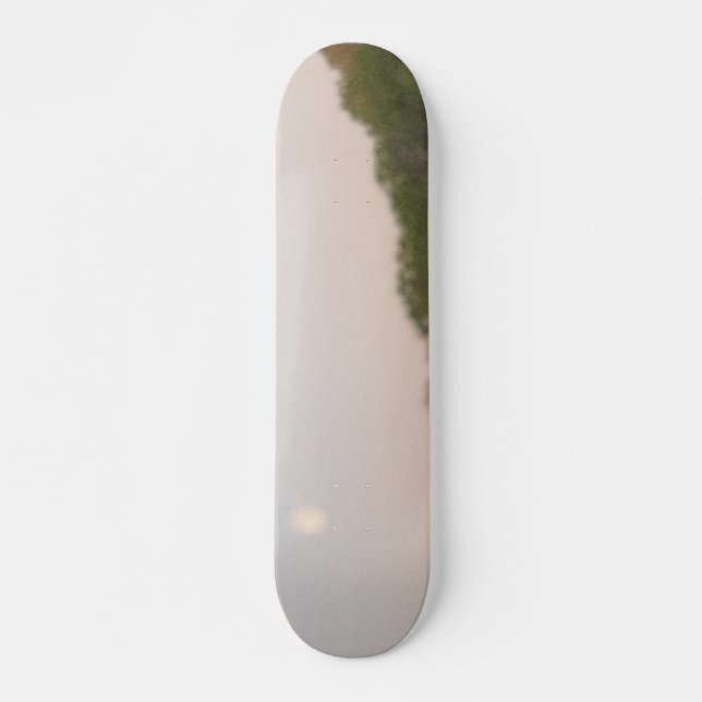 STYLE ET DESIGN SKATEBOARD (Devant)