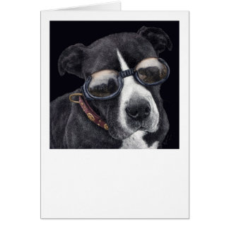 "Style" - Mélange Bully