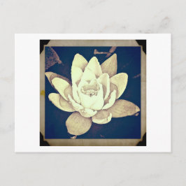 STYLE vintage LOTUS "PHOTOGRAPHIE" CARTE POSTALE