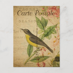 Style vintage Oiseau Jaune Carte Postale Française