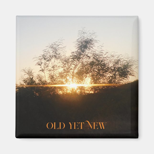 STYLES DE DÉCORATION ART&DESIGN MAGNET (Devant)