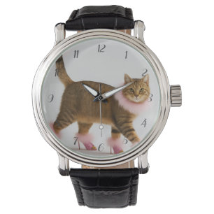 Stylische Katze in rosa Absätzen und fluffigem Gla Armbanduhr