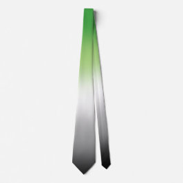 Stylische Unisex Aromantic Pride Flag Krawatte