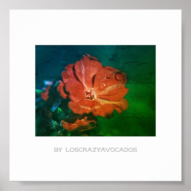 Stylisches Red Green Geranium Blume Poster (Vorne)