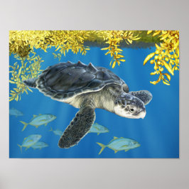 Stylisierte Kemp's Ridley Sea Turtle mit Sargassum Poster