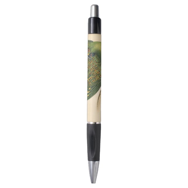 Stylo James Sowerby Parrot terrestre, Psittacus terrestr (Devant (Vertical))