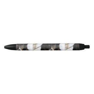 Stylo Noir Chien de border collie