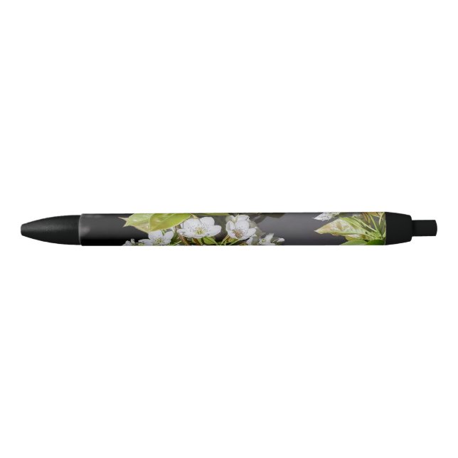 Stylo Noir Corée Cerisiers en fleurs blanches (Devant)