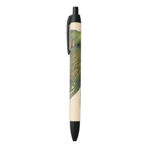 Stylo Noir James Sowerby Parrot terrestre, Psittacus terrestr