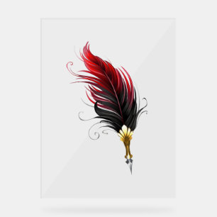 Stylo rouge en plumes avec nib or