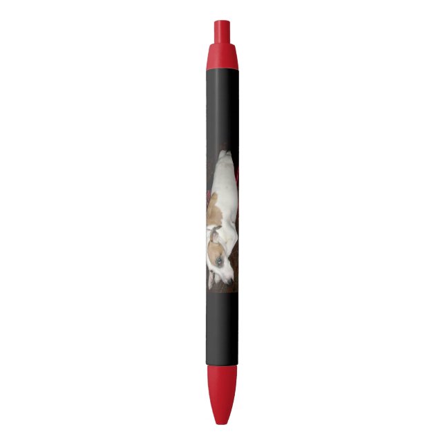 Stylos antiques de secret de Shinese (devant Vertical)