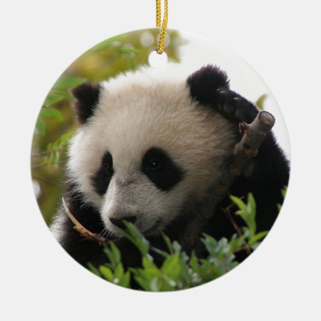 SU Lin, PandaBärenjunges am San Diego Zoo Keramikornament (Vorne)