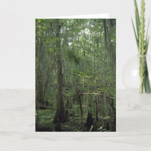 Suamp Serenity Custom Louisiana Grußkarten Karte