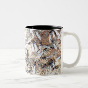 Subterainische Termiten? Zweifarbige Tasse