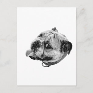 Subtile Lächeln Postkarte
