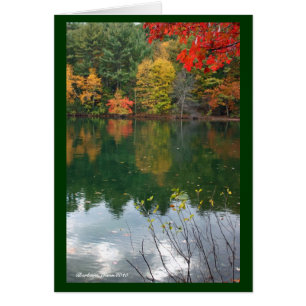 Subtile Magnetismus in der Natur: Waldenteich