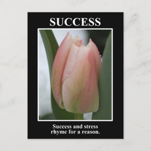 Success rhymes with stress for a reason postkarte