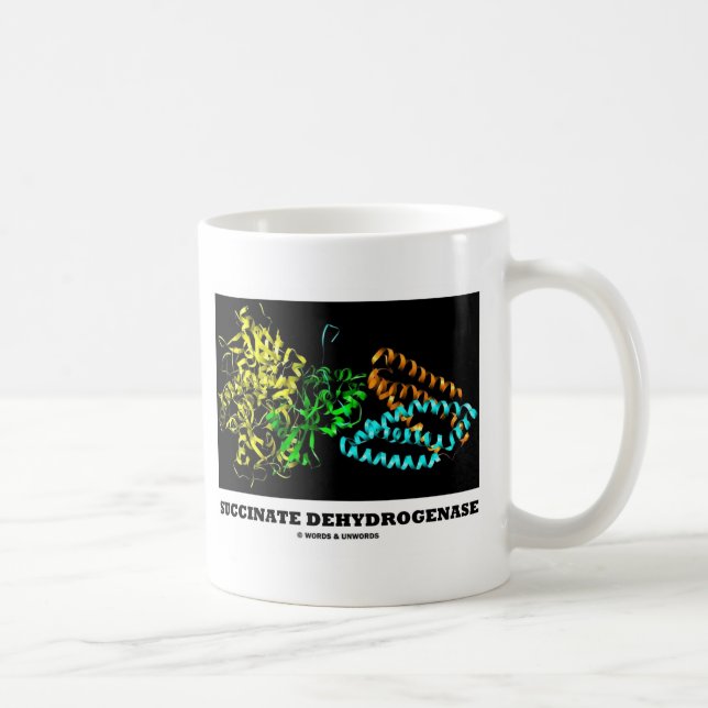 Succinats-Dehydrogenase (Chemie) Kaffeetasse (Rechts)