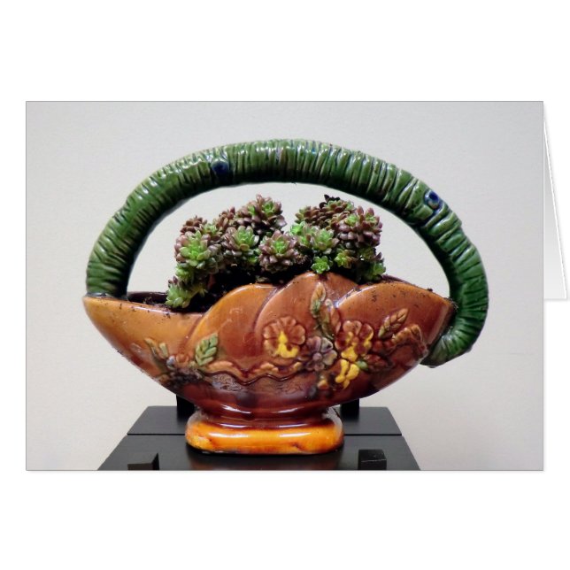 Succulent dans le panier par modèles successifs (Devant horizontal)