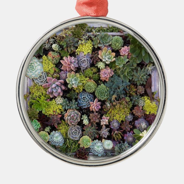 Succulent garden design ornament aus metall (Vorne)
