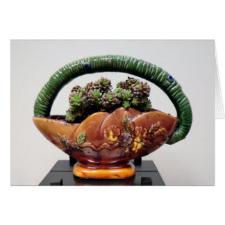 Succulent in Basket von Sukkulenten Designs