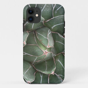 Succulent iPhone SE + iPhone 5/5S title_seo2