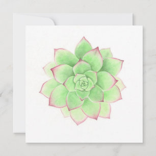 Succulent - Original Artwork von Meghann Russell Feiertagskarte