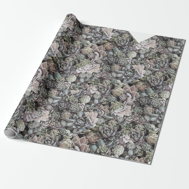 Succulent Sempervivums - Large and Muted Geschenkpapier (Ungerollt)