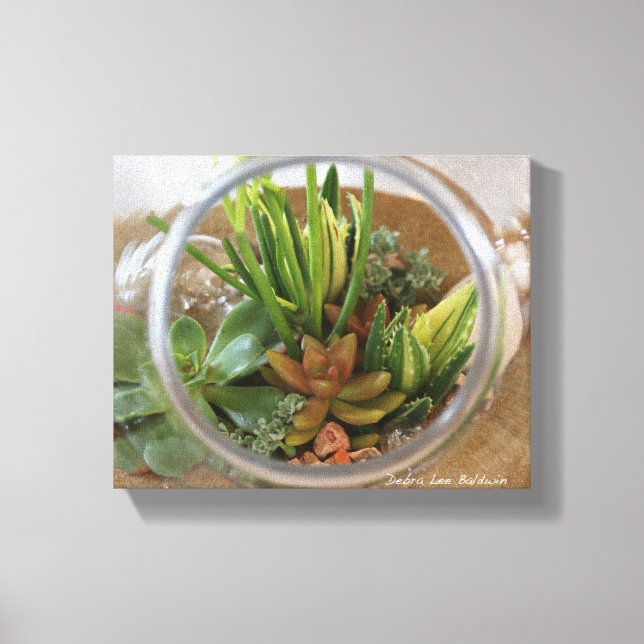 Succulent Terrarium Poster von Debra Lee Baldwin Leinwanddruck (Vorderseite)