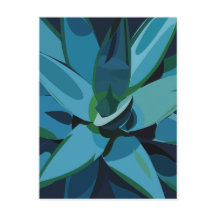 Succulents Blue Agave Cactus succulents