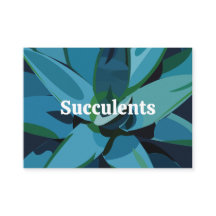 Succulents Blue Agave Cactus succulents