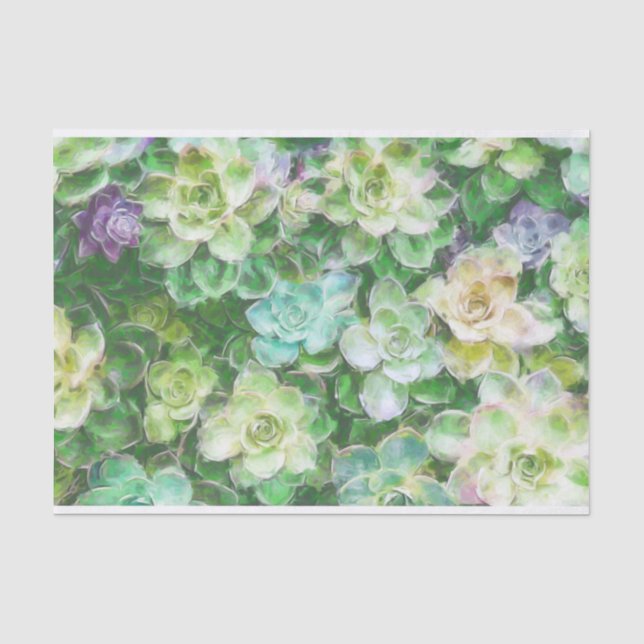 Succulents, die durch Cindy Bendel malen Seidenpapier (Vorderseite)