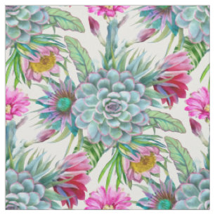 Succulents Echeveria Cactus Blume Garden Stoff