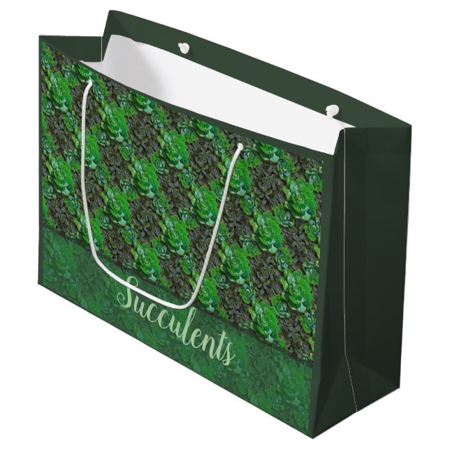 Succulents Grand Sac Cadeau (Devant Angle)